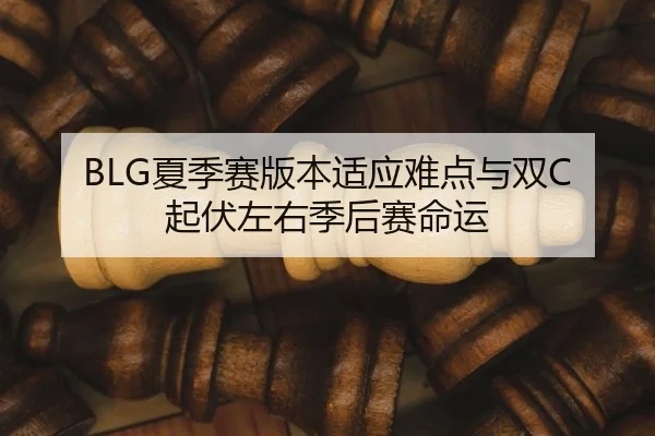 BLG夏季赛版本适应难点与双C起伏左右季后赛命运